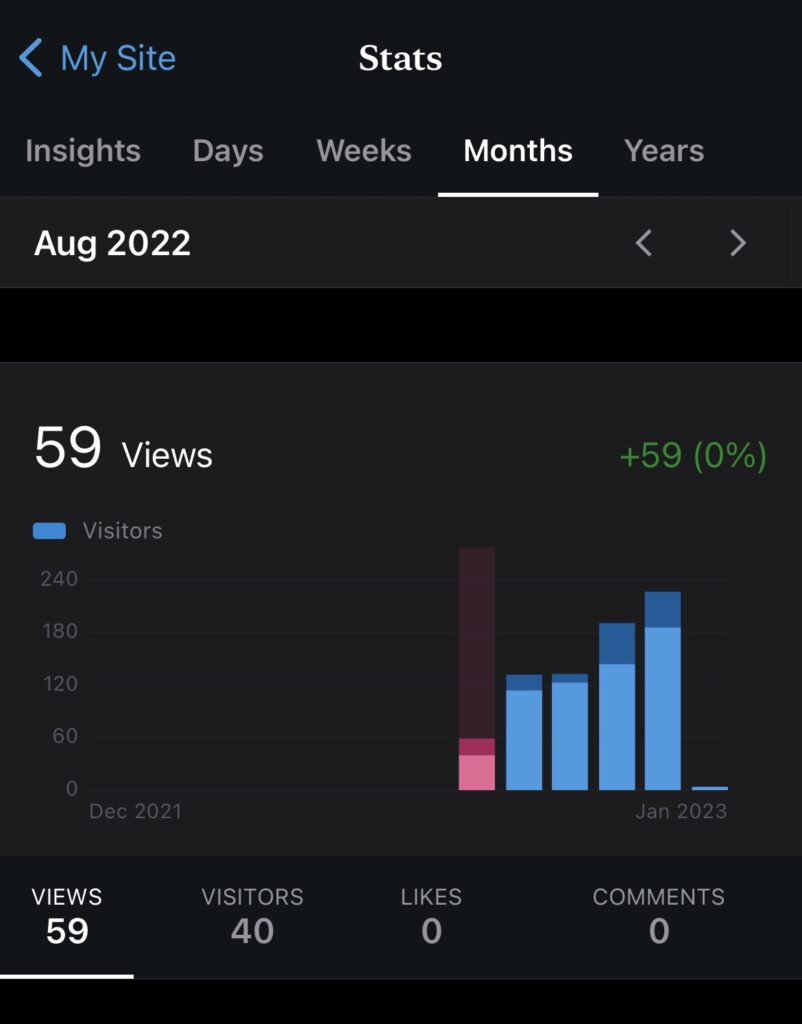 Blog income report. August 2022 site stats for asliceofkiwi.com is 59 views!