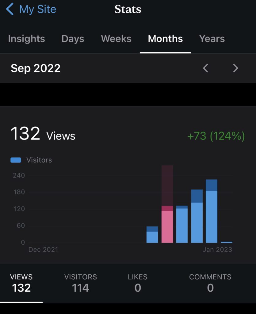 Blog income report: September blog stats for asliceofkiwi.com is 132 views
