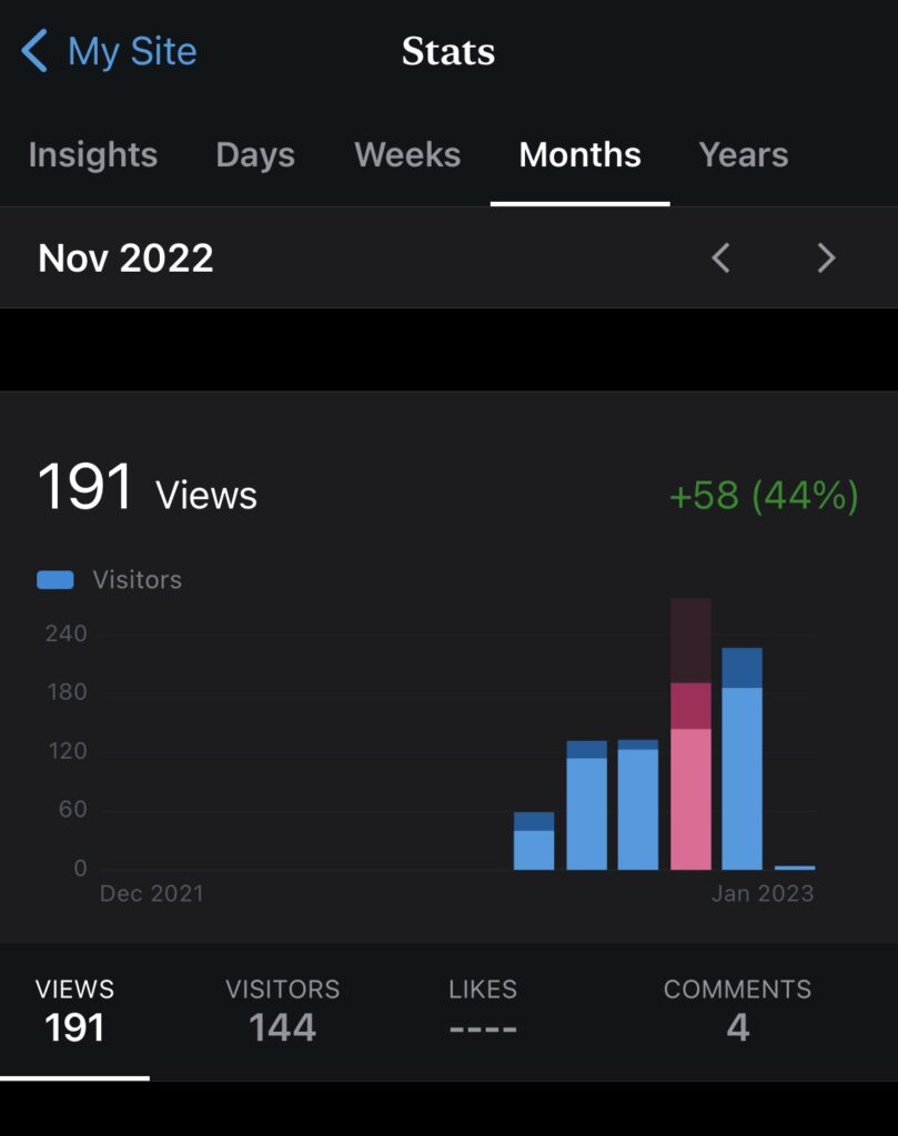 Blog Income report: blog stats for november 2022 is 191 views.